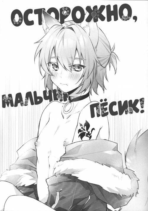 Doggy Boy Alert! / Осторожно, мальчик-пёсик!
