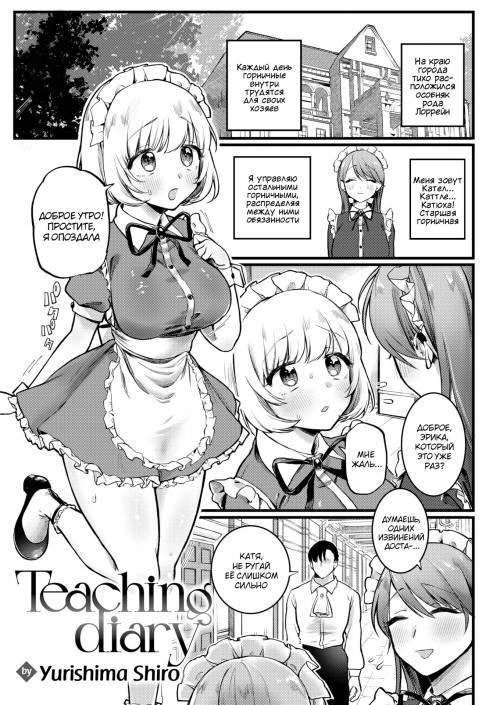 Teaching Diary / Дневник обучения