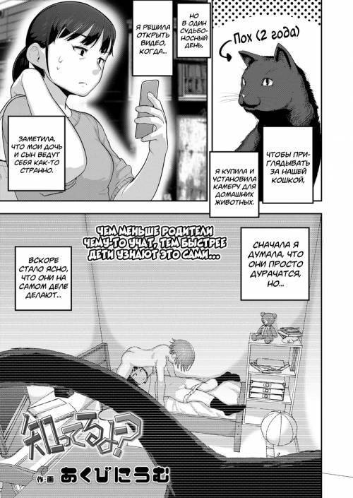 Shitteru Yo? (Didn't You Know?) / Разве ты не знал?
