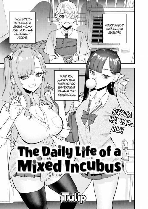 The Daily Life of a Mixed Incubus / Повседневная жизнь инкуба-полукровки