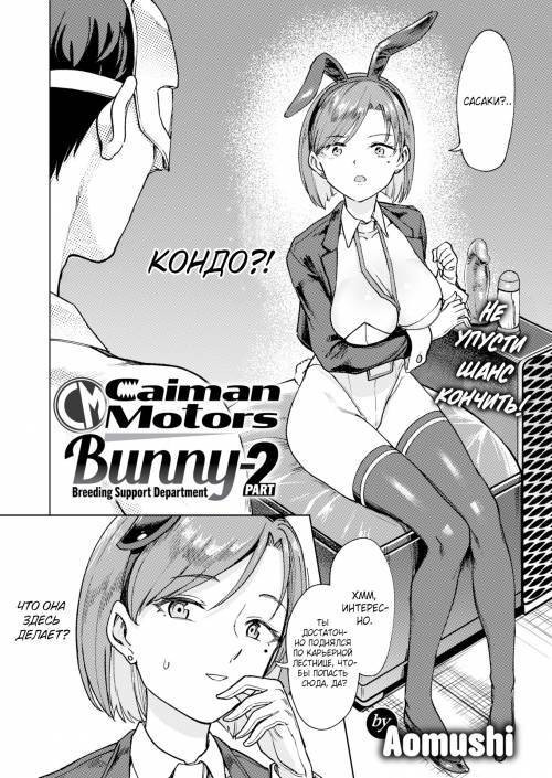 Caiman Motors Bunny-Breeding Support Department / Отдел поддержки по разведению кроликов Caiman Motors №2