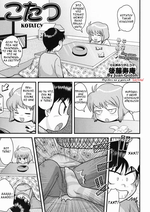 Котатсу / Kotatsu