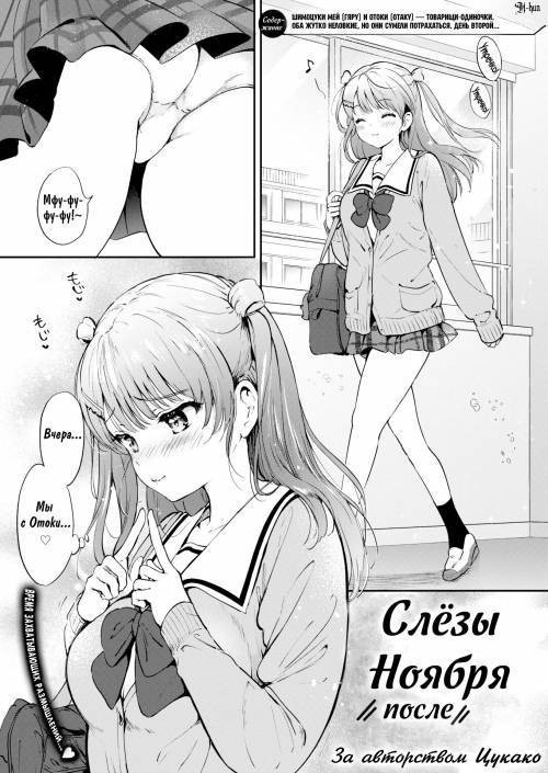 Juuichigatsu no Tiadoroppu №2 (November Teardrops After) / Слезы Ноября. После
