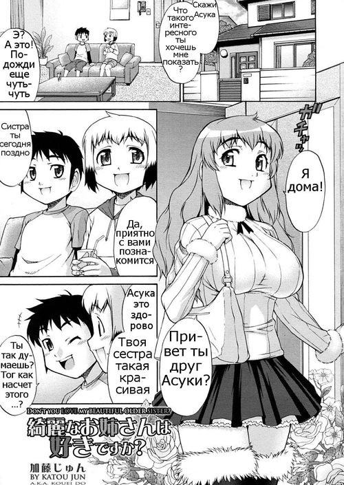 Don't You Love My Beautiful Older Sister? / Kirei na Onee-san wa Suki desu ka?