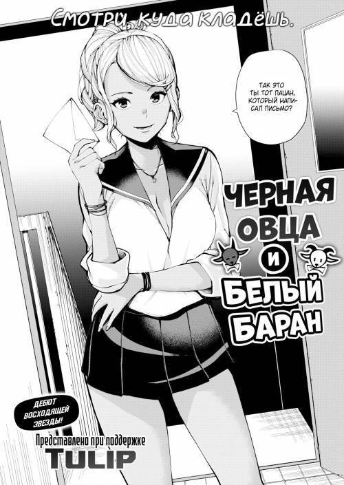 Black Sheep and& White Sheep / Черная овца и белый баран