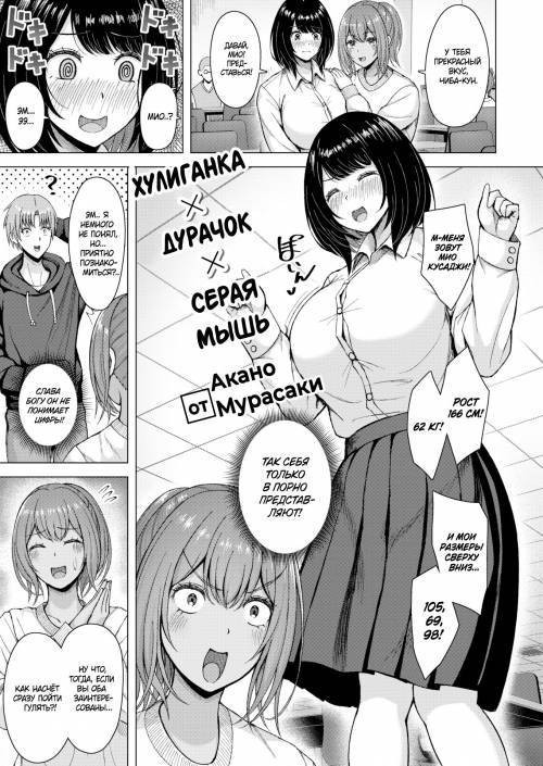 Gal x Dummy x Plain Jane / Хулиганка x Дурачок x Серая мышь