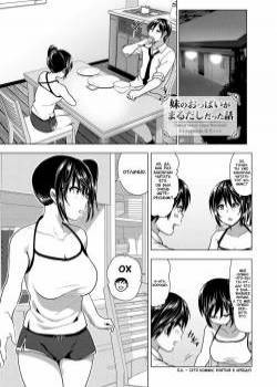 Imouto no Oppai ga Marudashi Datta Hanashi №4.5 / Байка о том как младшая сестра была с сиськами напоказ